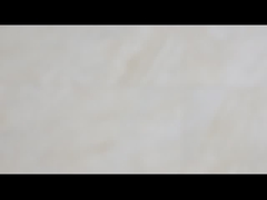 Uma embreagem da came da maneira que carrega o batente traseiro do Sprag da série do BB desce em roda livre a embreagem